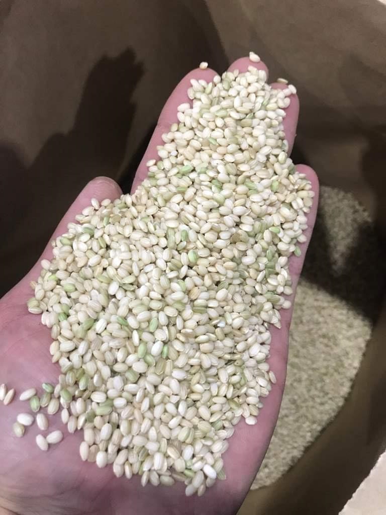 令和元年産 緑米(もち米)