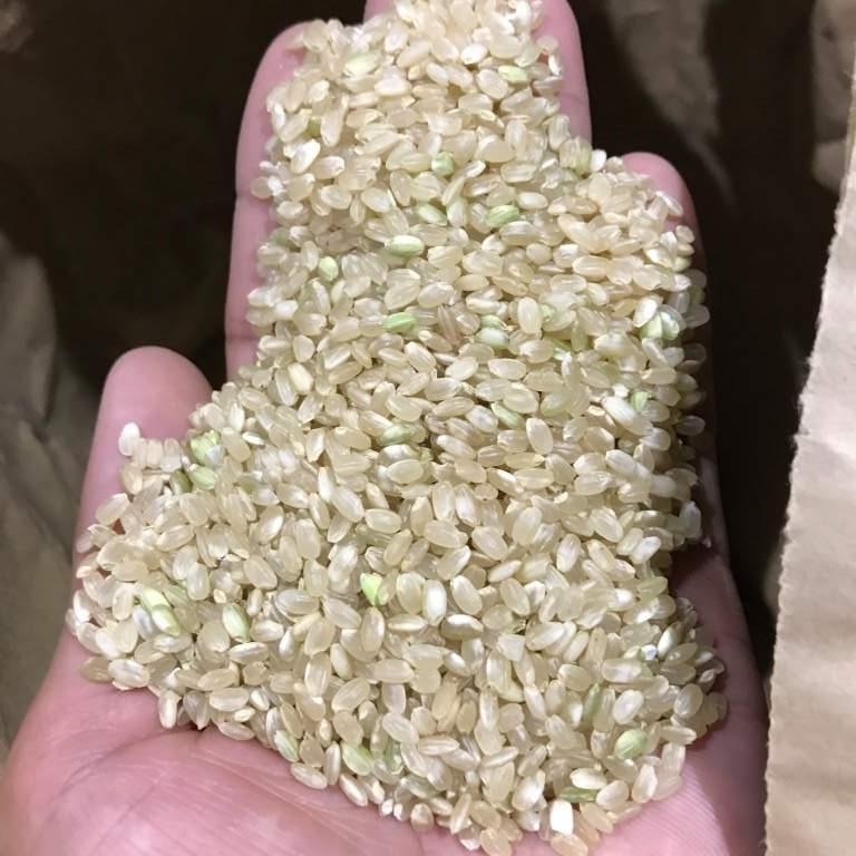 令和元年産 つやおとめブレンド