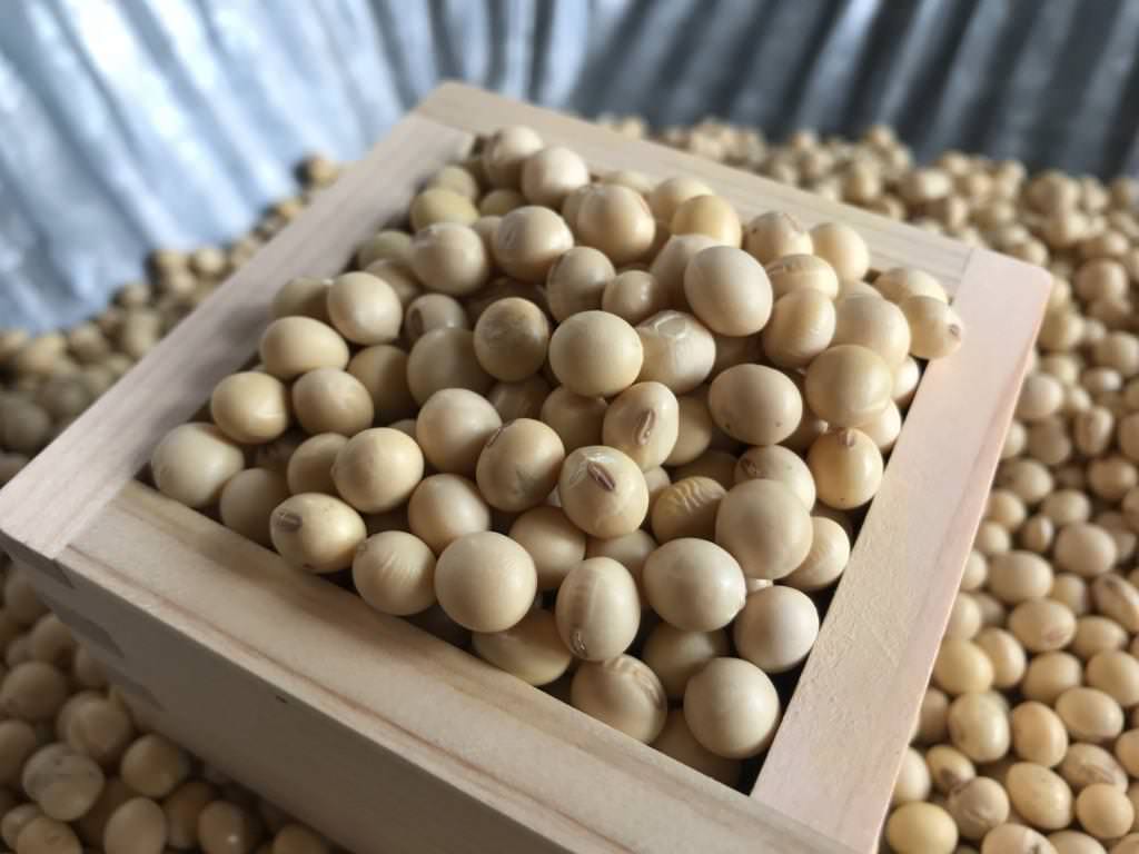 大豆・フクユタカ 500g